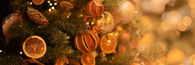 AdobeStock_538350540-2